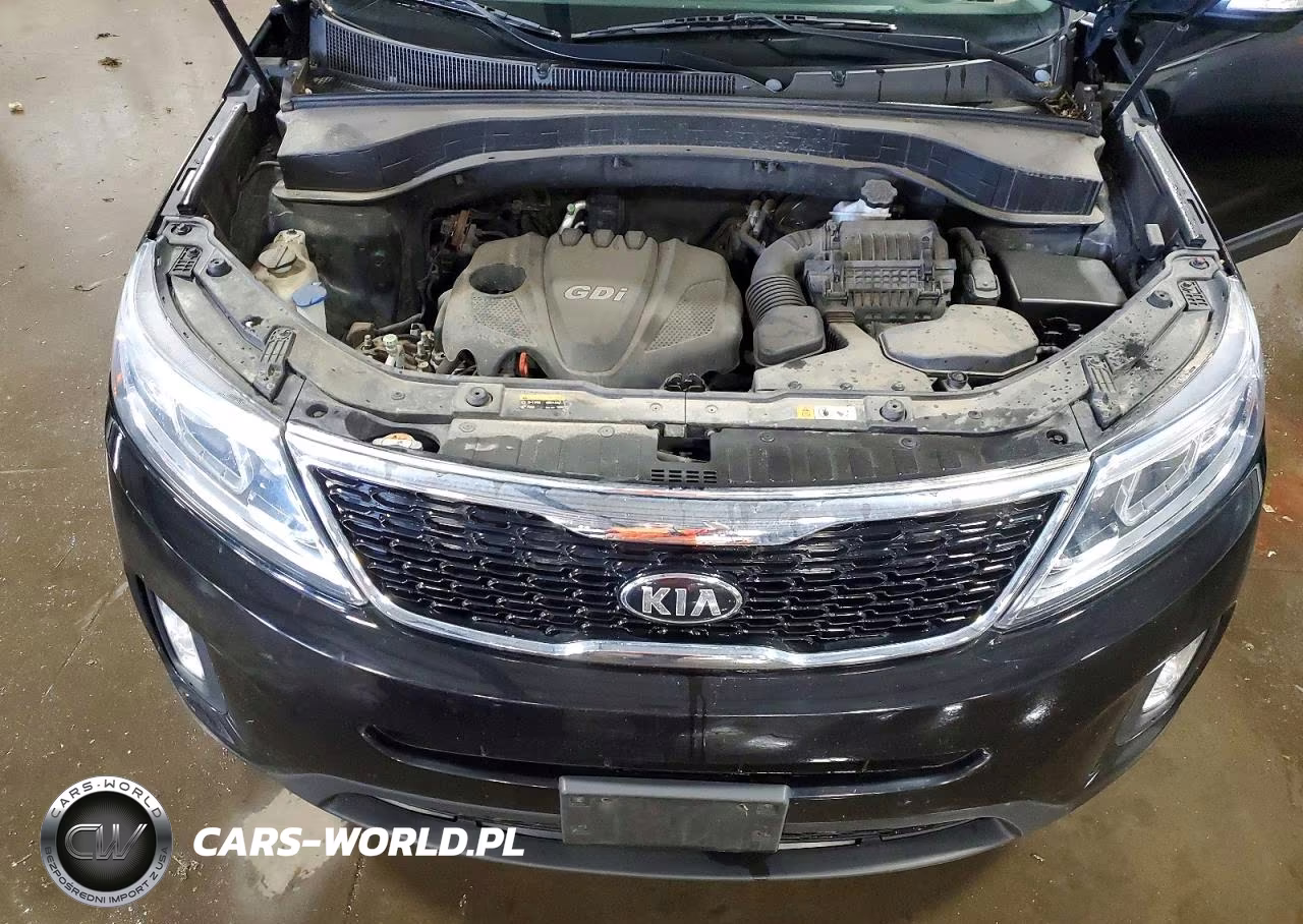 2014 Kia Sorento Lx VIN:5XYKTCA69EG477015 - 12