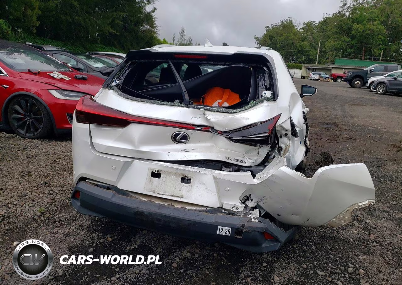 2022 Lexus Ux 250H Base VIN:JTHP9JBHXN2056048 - 6