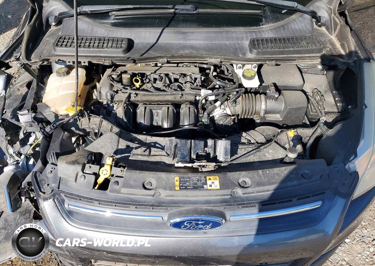 2016 Ford Escape Se VIN:1FMCU0G73GUB07725 - 12