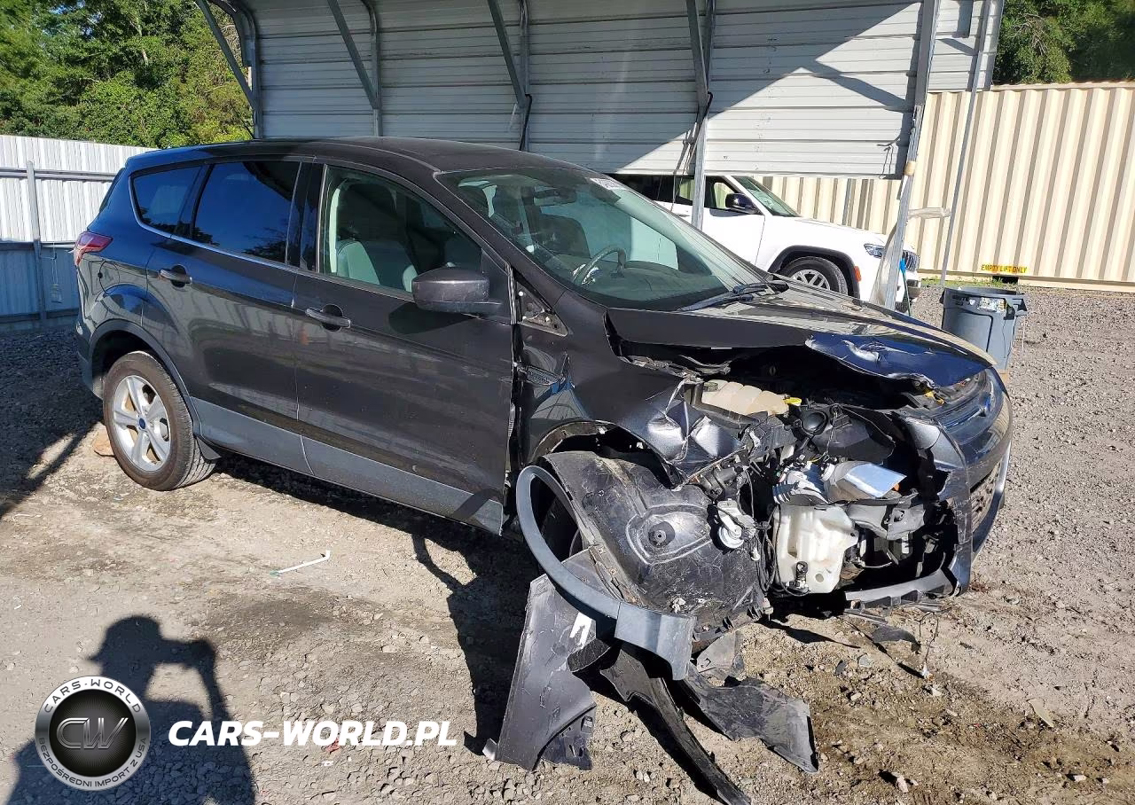 2016 Ford Escape Se VIN:1FMCU0G73GUB07725 - 4