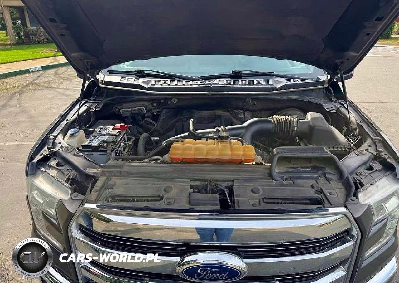 2016 Ford F150 Supercrew VIN:1FTEW1CP0GKD11901 - 7