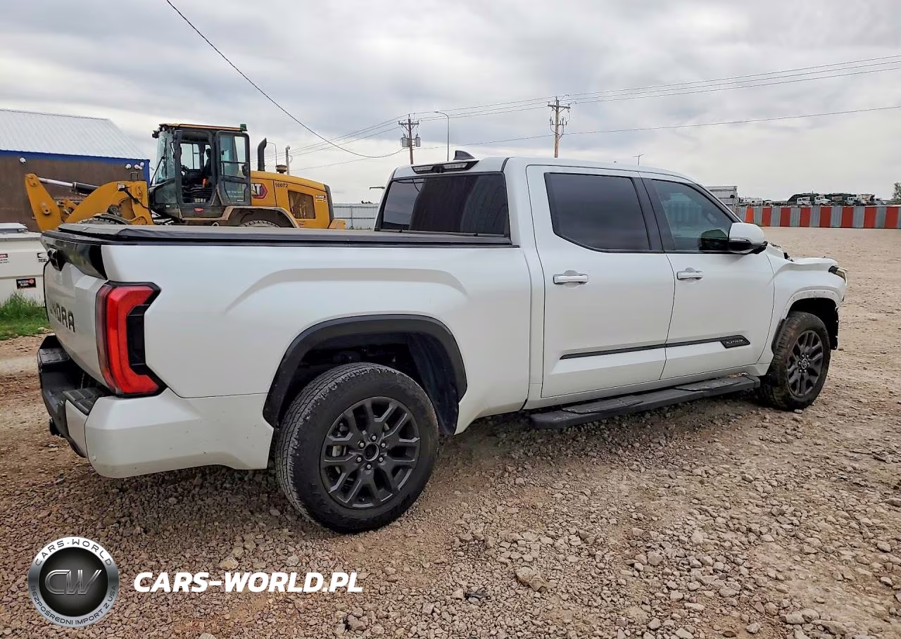 2023 Toyota Tundra Platinum VIN:5TFNA5EC6PX019074 - 3