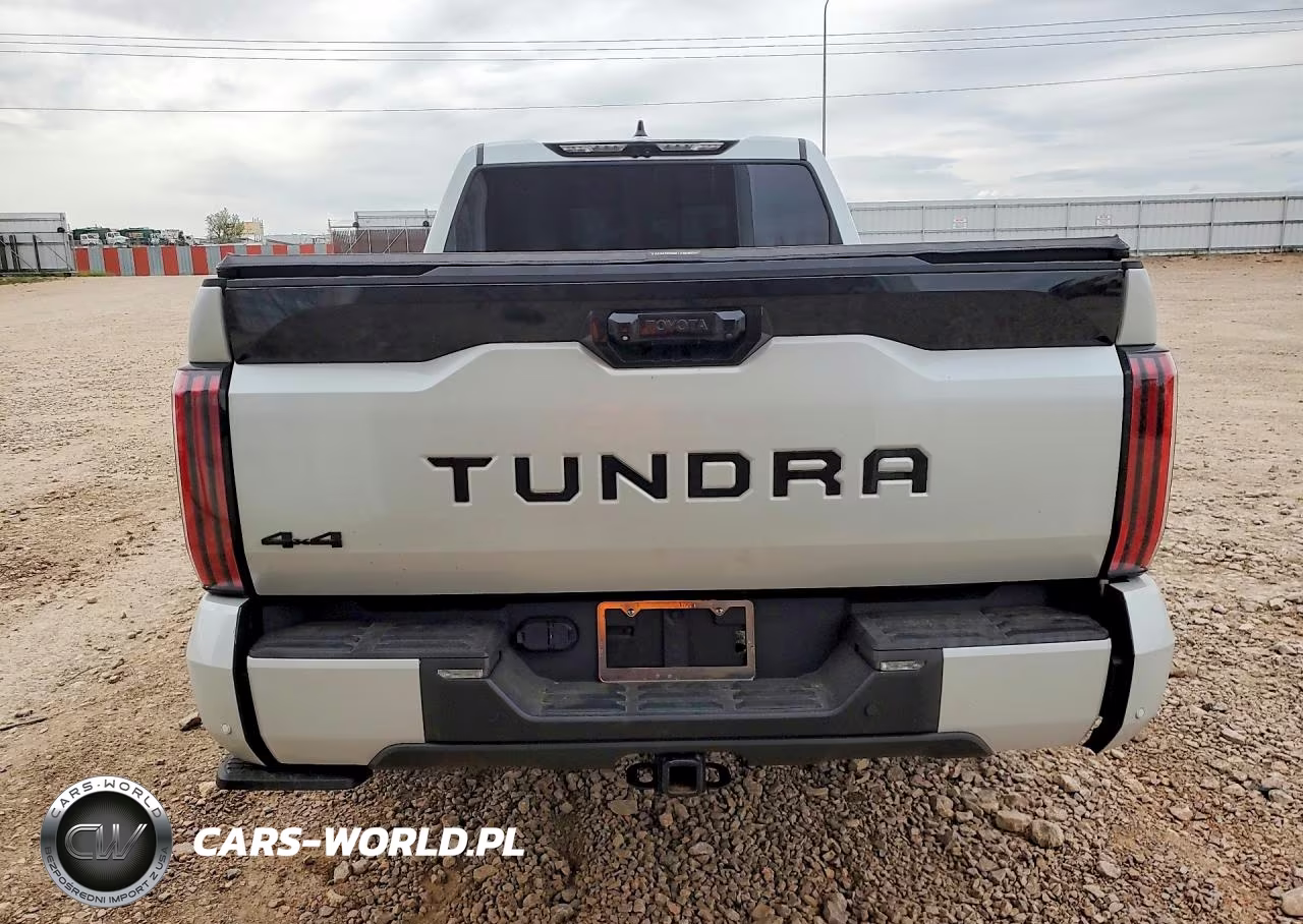 2023 Toyota Tundra Platinum VIN:5TFNA5EC6PX019074 - 6