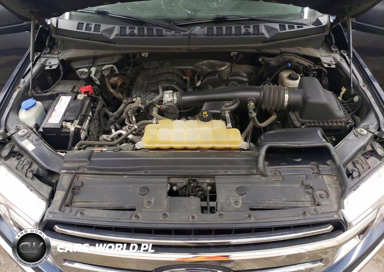 2019 Ford F150 Supercrew VIN:1FTEW1EB4KFC09634 - 11