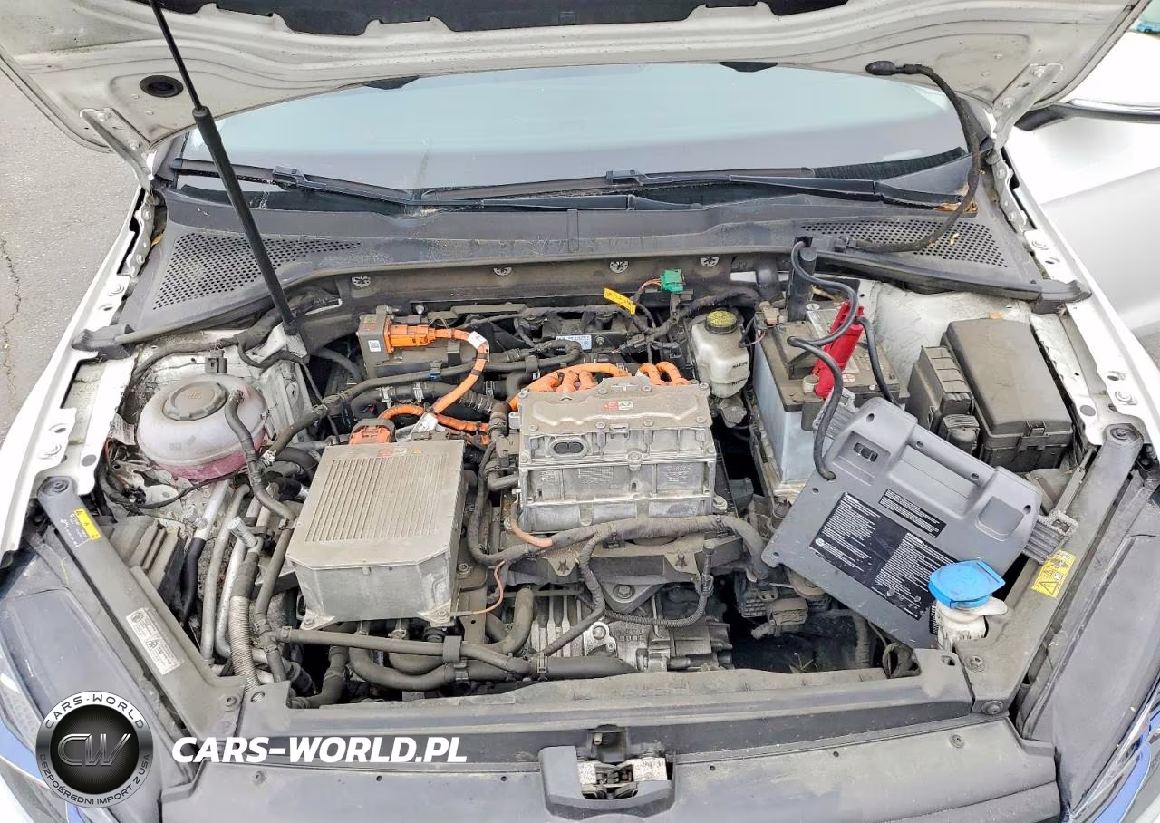 2019 Volkswagen E-Golf Sel Premium VIN:WVWPR7AU9KW911877 - 11