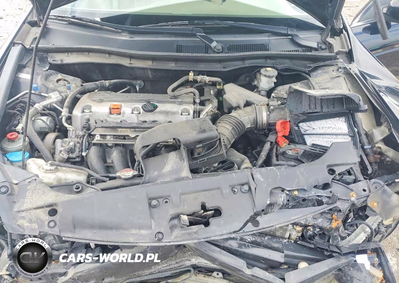 2010 Honda Accord Lx VIN:1HGCP2F36AA111932 - 11