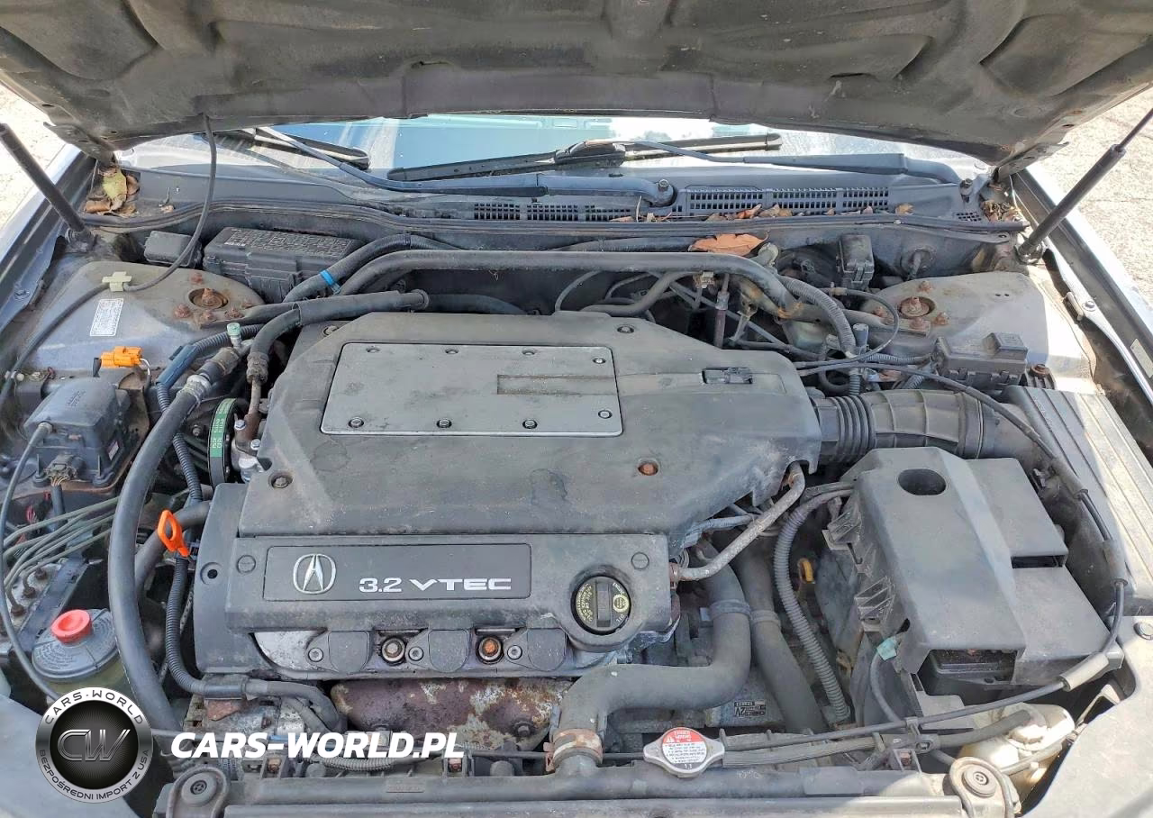 2003 Acura 3.2Tl VIN:19UUA56693A073598 - 11