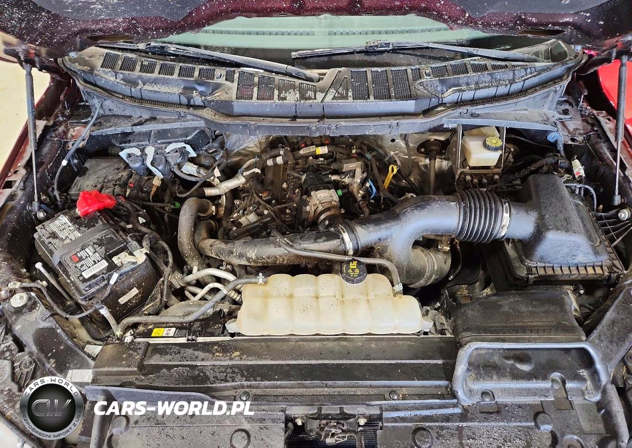2021 Ford F150 Supercrew VIN:1FTEW1EPXMKE16566 - 11