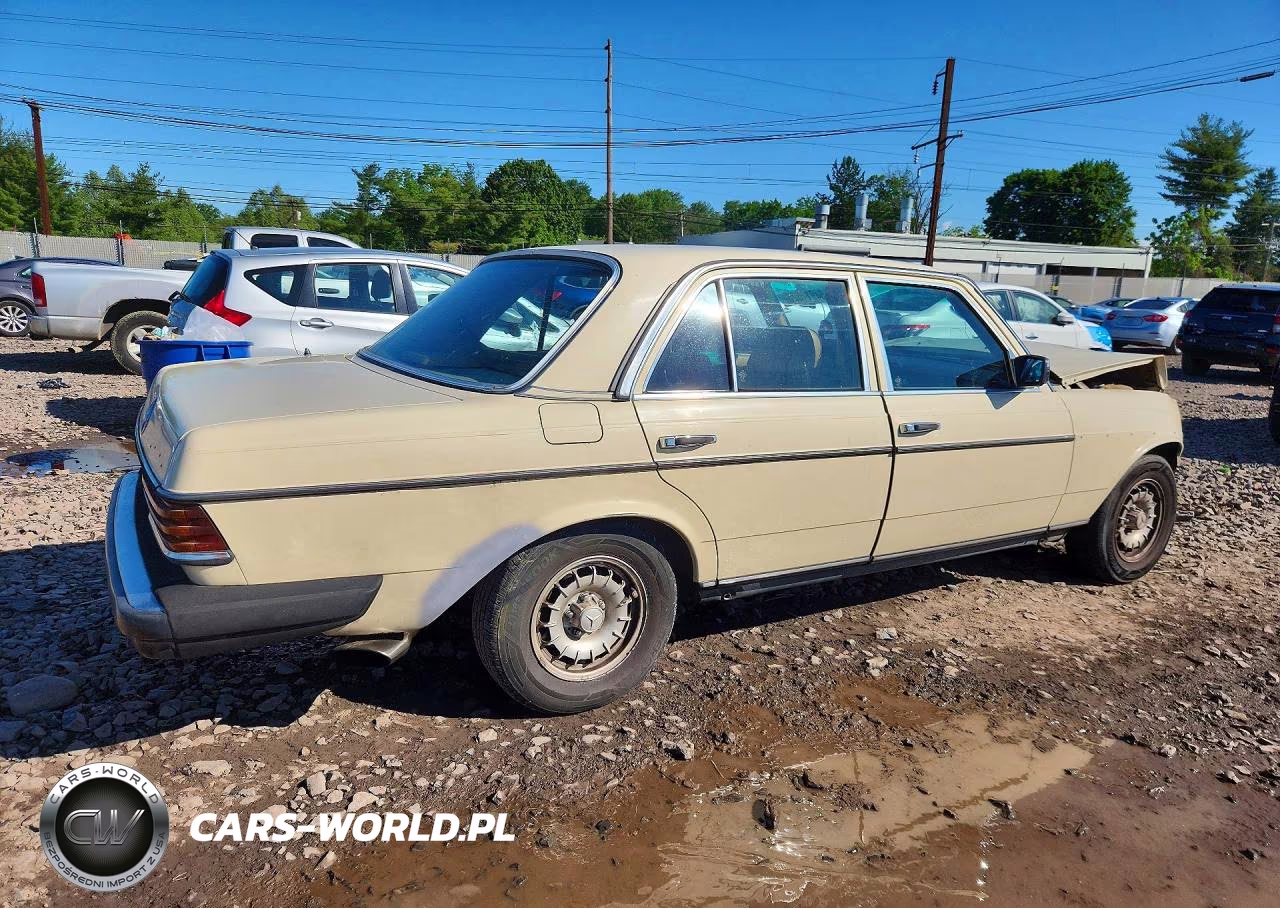 1983 Mercedes-Benz 300 Dt VIN:WDBAB33A1DB019167 - 3