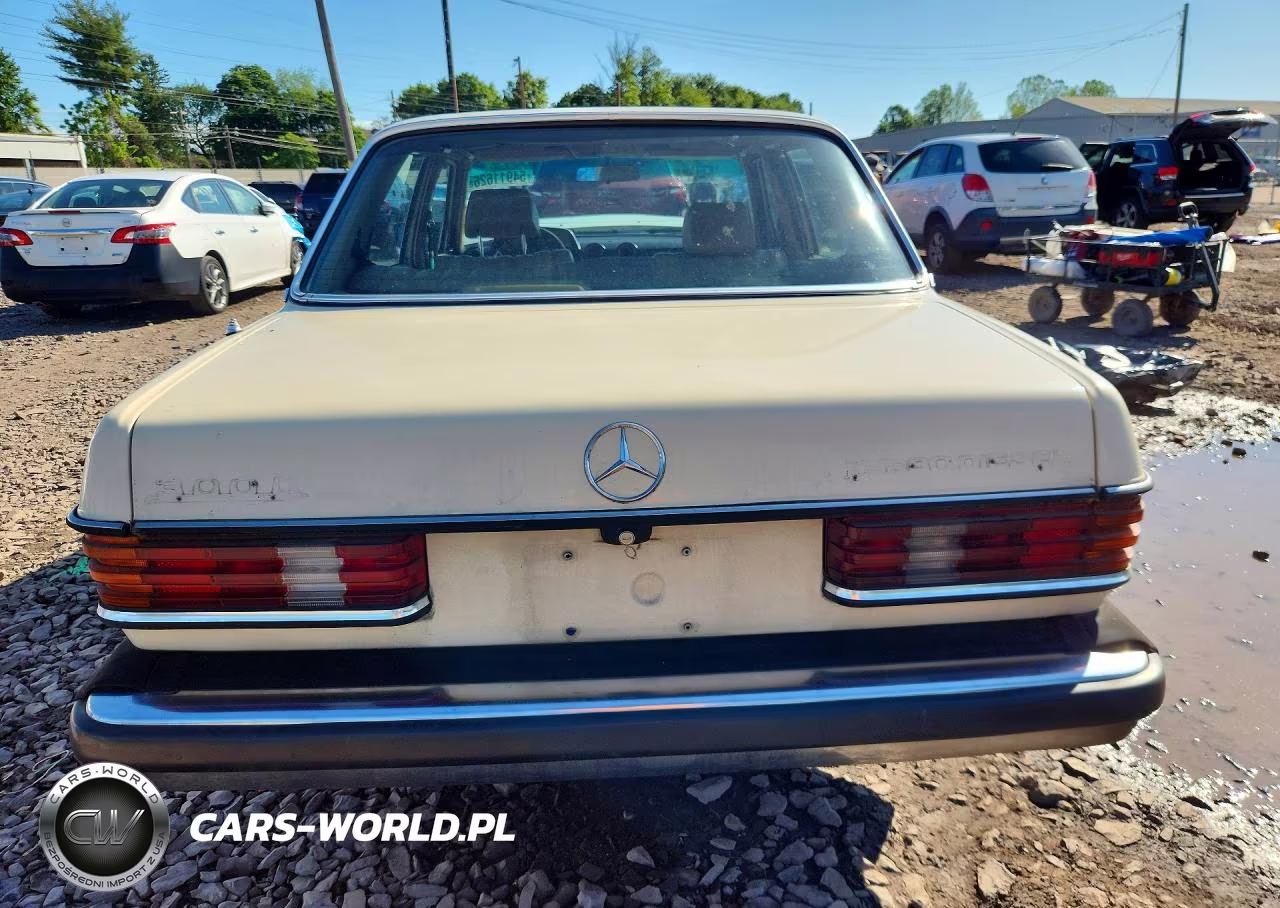 1983 Mercedes-Benz 300 Dt VIN:WDBAB33A1DB019167 - 6