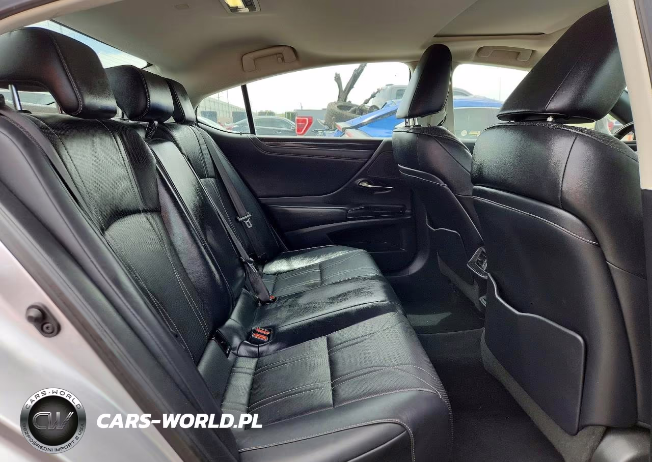 2020 Lexus Es 350 Luxury VIN:58AEZ1B16LU058669 - 10