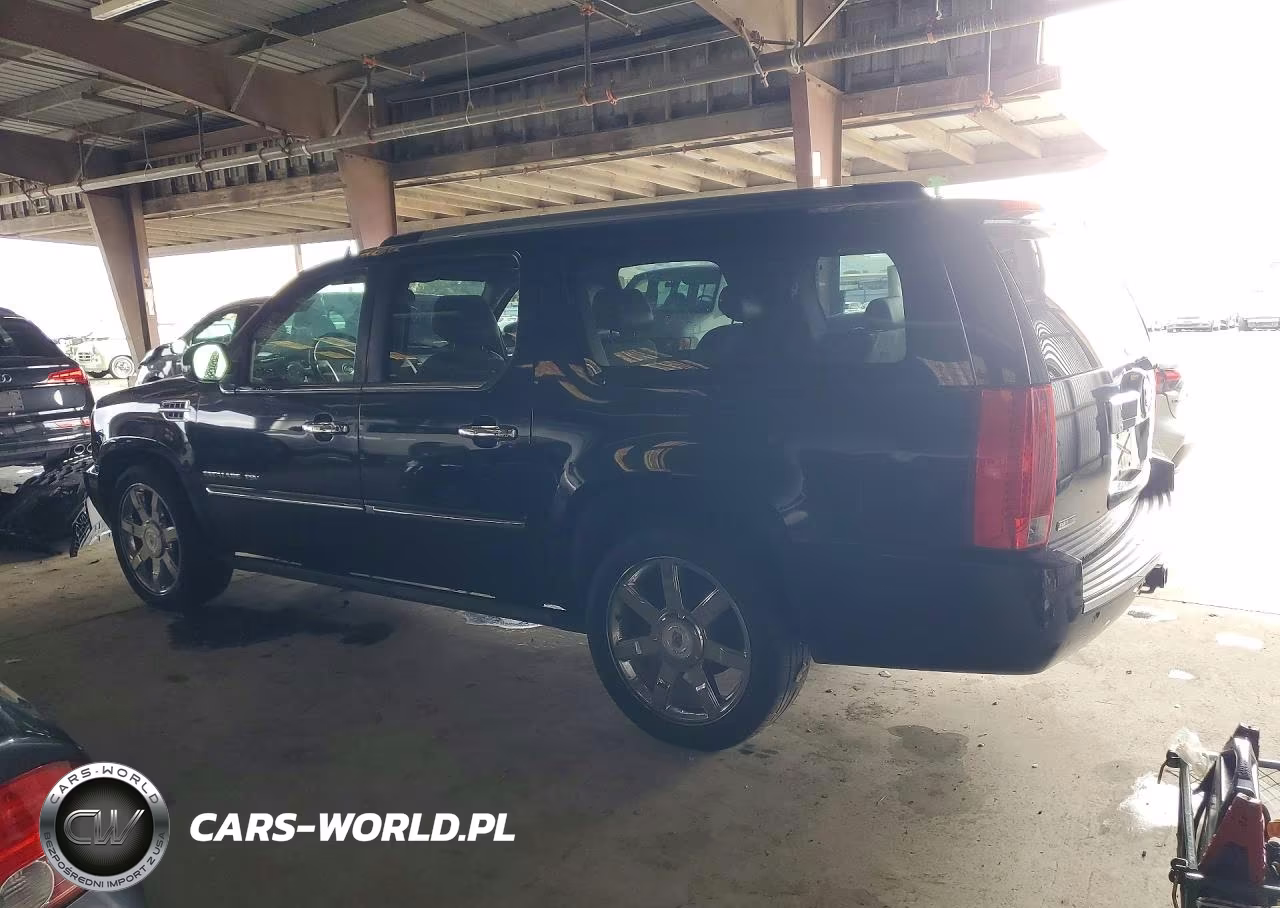 2010 Cadillac Escalade Esv Premium VIN:1GYUCJEF4AR118622 - 2