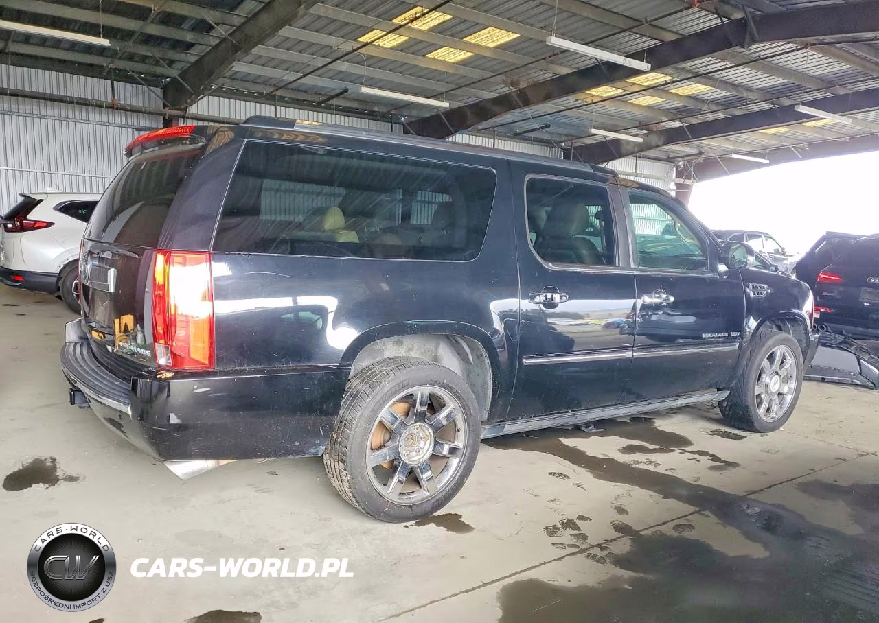 2010 Cadillac Escalade Esv Premium VIN:1GYUCJEF4AR118622 - 3