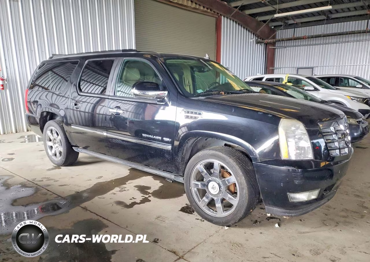 2010 Cadillac Escalade Esv Premium VIN:1GYUCJEF4AR118622 - 4