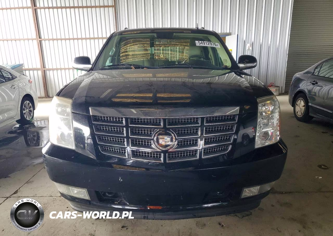 2010 Cadillac Escalade Esv Premium VIN:1GYUCJEF4AR118622 - 5