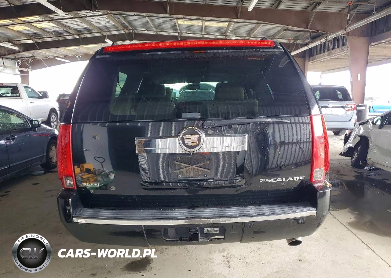 2010 Cadillac Escalade Esv Premium VIN:1GYUCJEF4AR118622 - 6