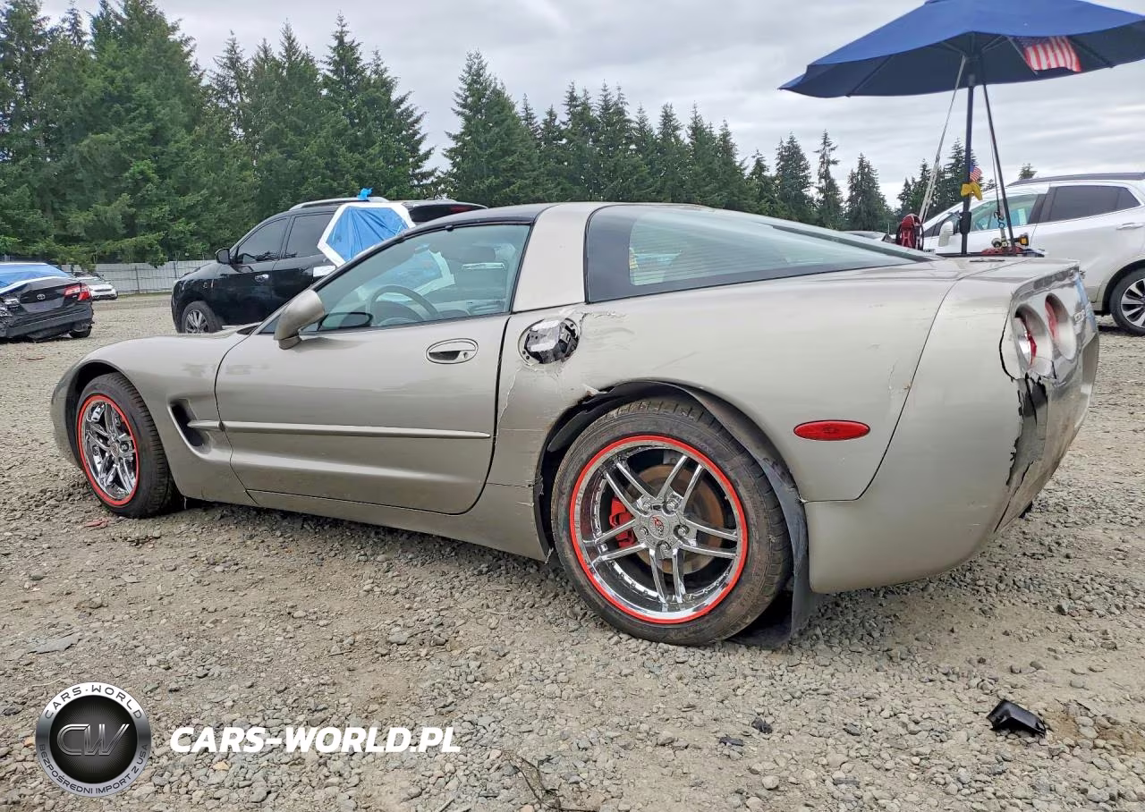 1999 Chevrolet Corvette VIN:1G1YY22G2X5125427 - 2