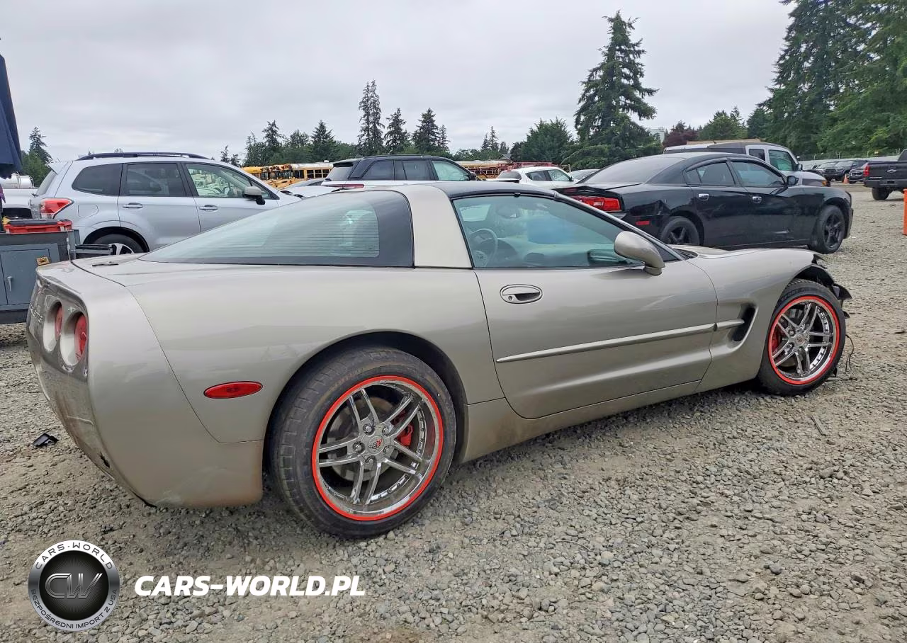 1999 Chevrolet Corvette VIN:1G1YY22G2X5125427 - 3