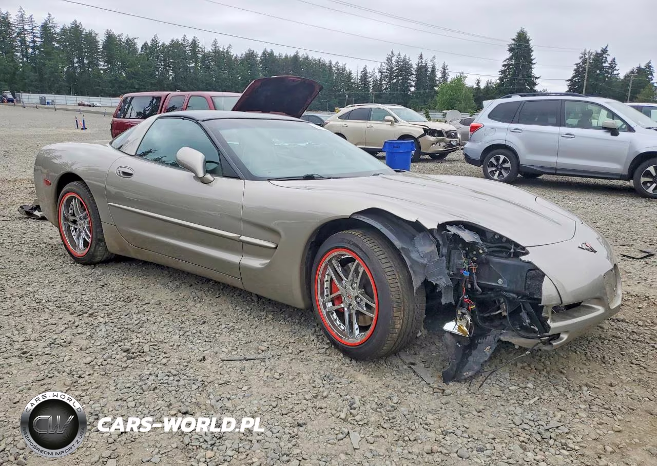1999 Chevrolet Corvette VIN:1G1YY22G2X5125427 - 4