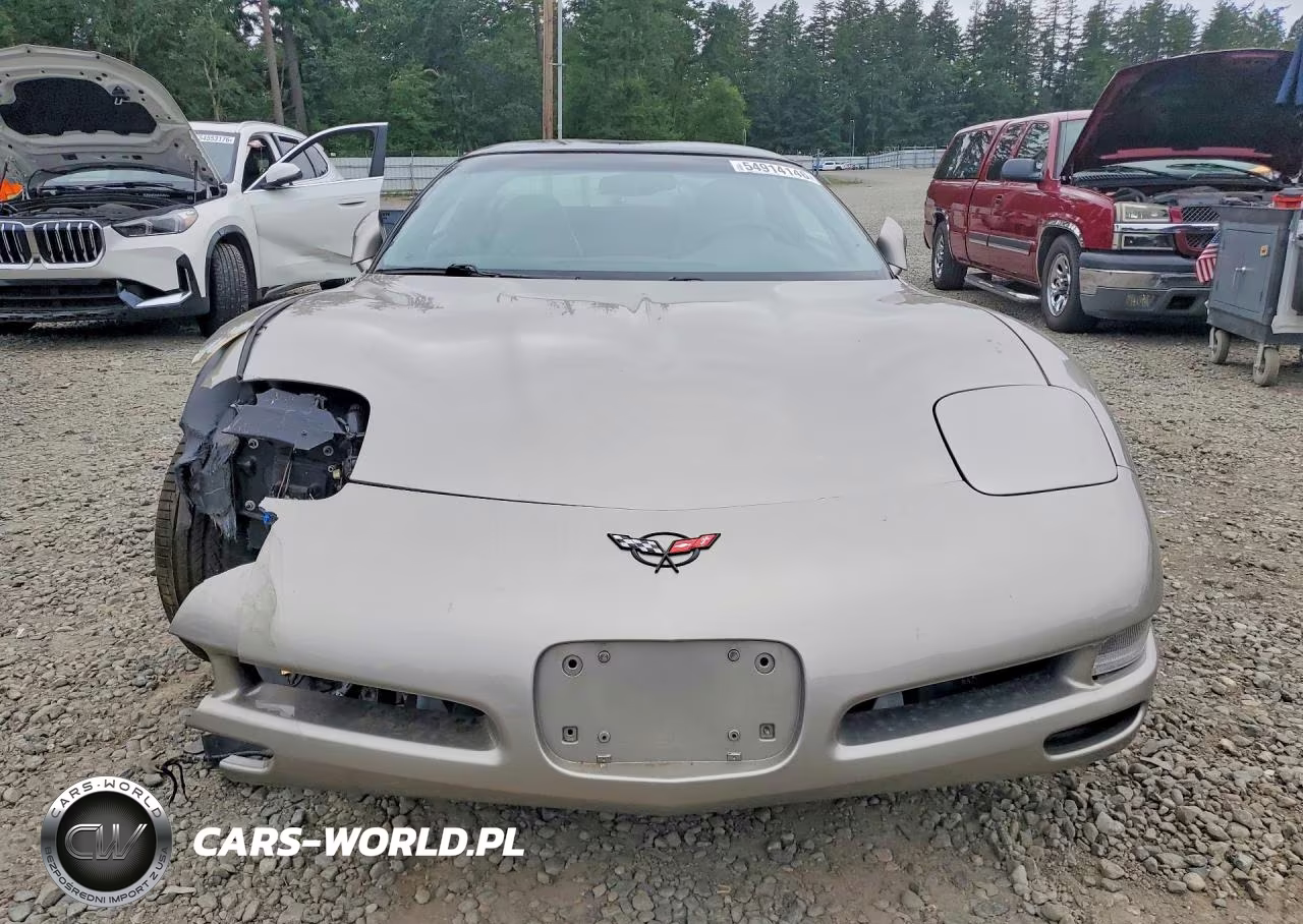 1999 Chevrolet Corvette VIN:1G1YY22G2X5125427 - 5
