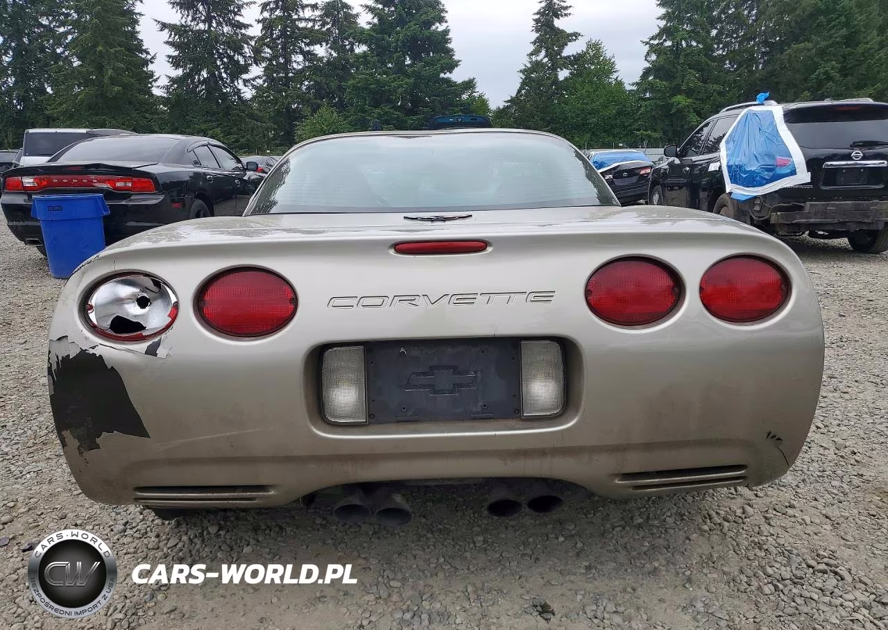 1999 Chevrolet Corvette VIN:1G1YY22G2X5125427 - 6