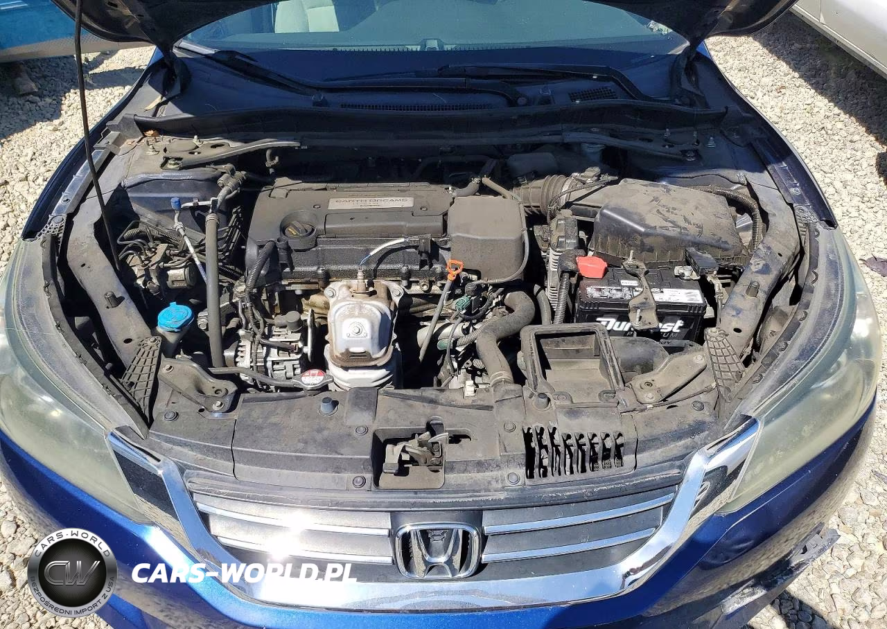 2015 Honda Accord Ex VIN:1HGCR2F77FA114391 - 11