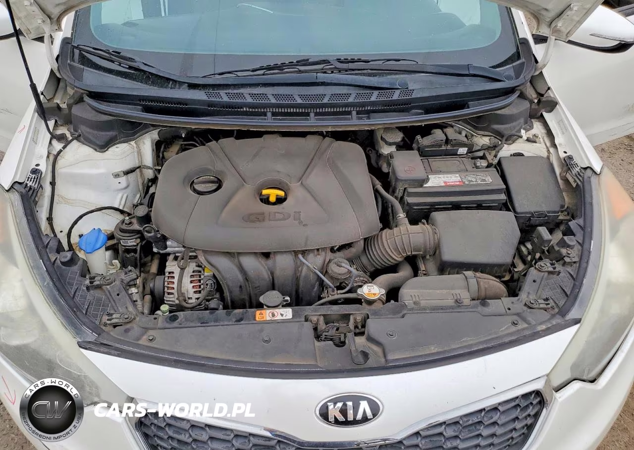 2016 Kia Forte Lx VIN:KNAFK5A89G5630793 - 11