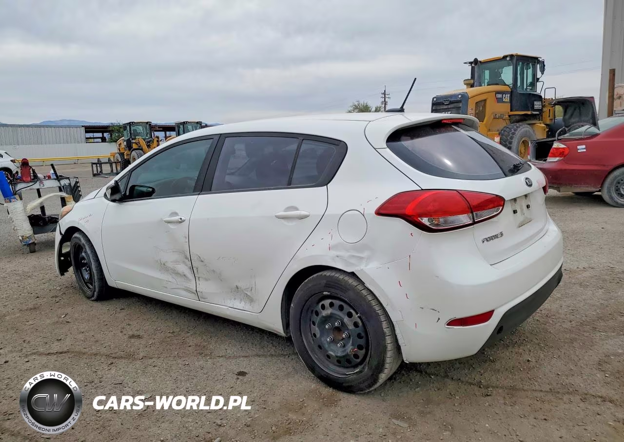 2016 Kia Forte Lx VIN:KNAFK5A89G5630793 - 2