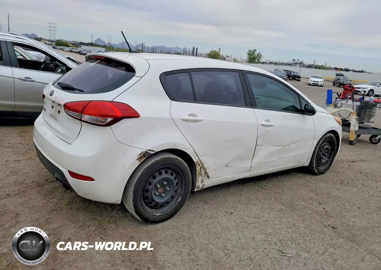 2016 Kia Forte Lx VIN:KNAFK5A89G5630793 - 3