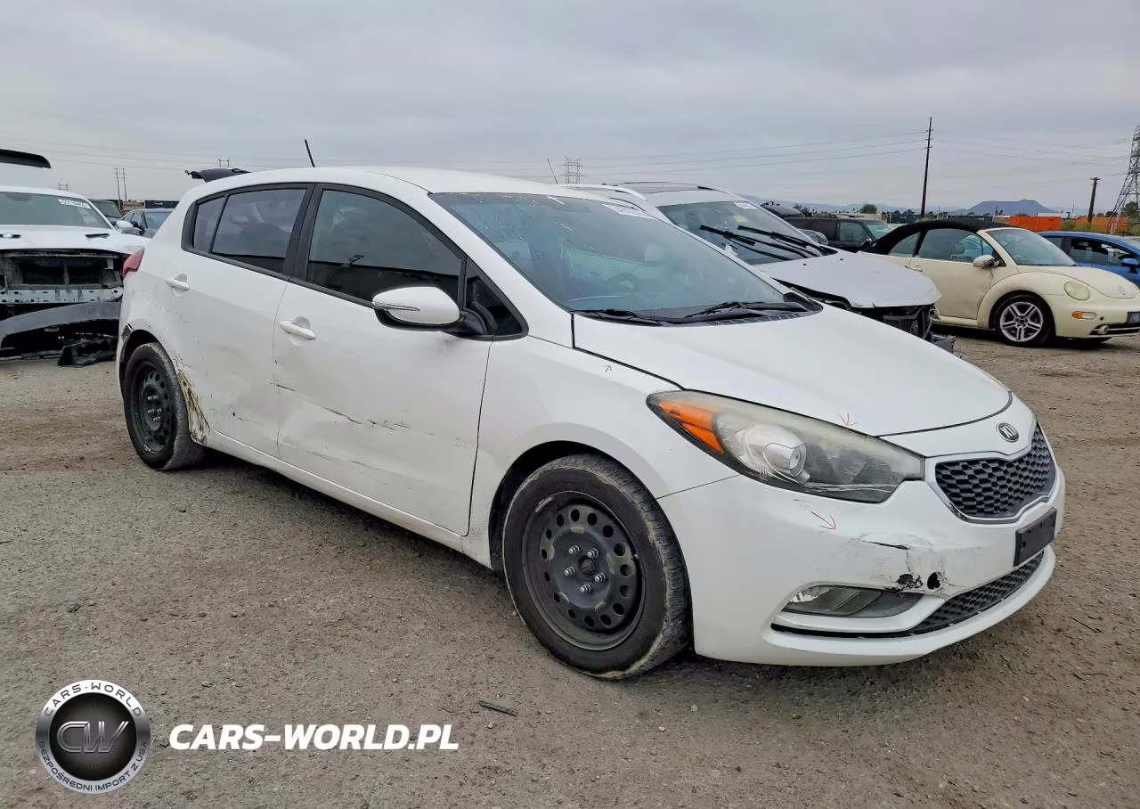 2016 Kia Forte Lx VIN:KNAFK5A89G5630793 - 4