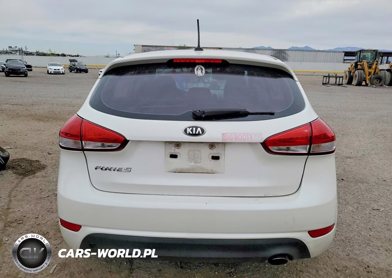 2016 Kia Forte Lx VIN:KNAFK5A89G5630793 - 6