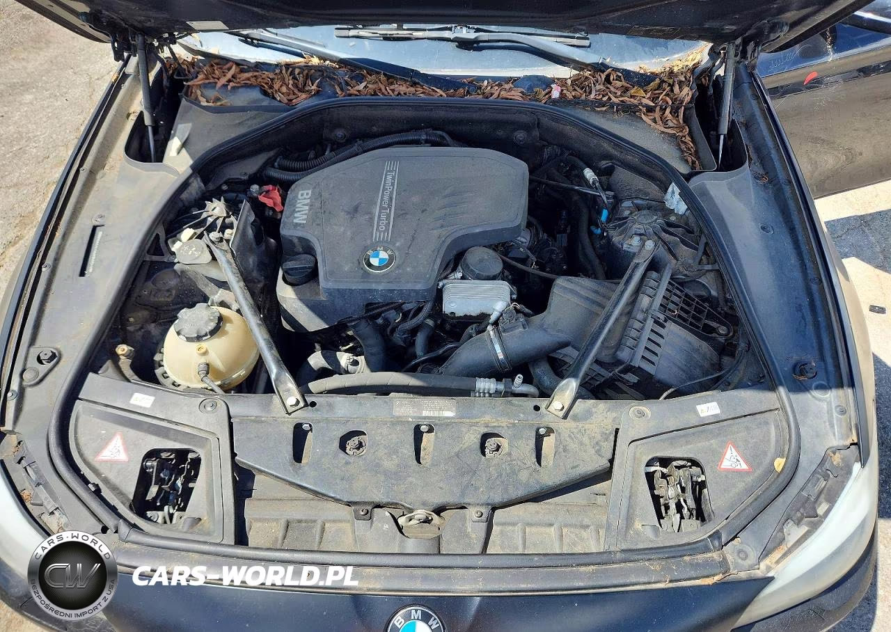 2012 BMW 528Xi VIN:WBAXH5C53CDW09217 - 11