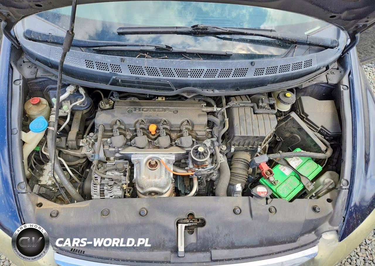 2010 Honda Civic Lx-S VIN:19XFA1F66AE073391 - 11