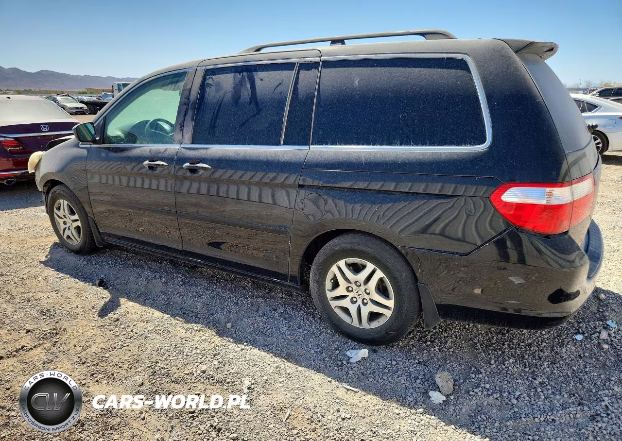 2005 Honda Odyssey Exl VIN:5FNRL38615B036247 - 2