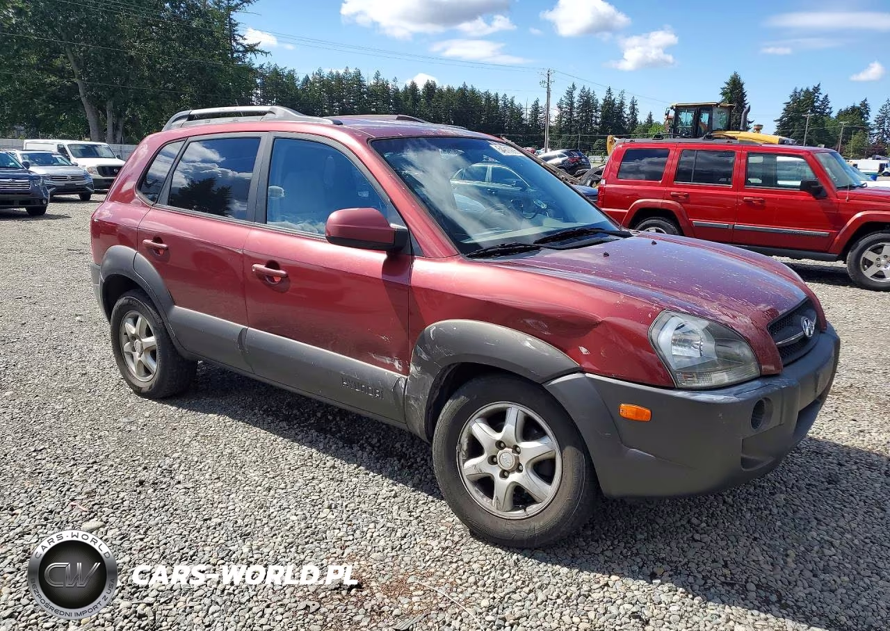 2005 Hyundai Tucson Gls VIN:KM8JN72D45U122922 - 4