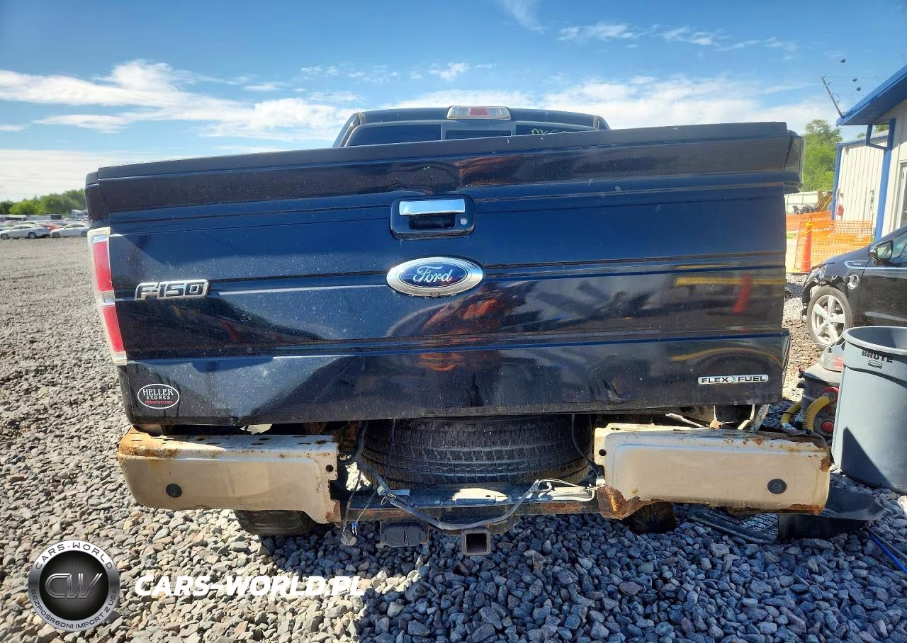 2011 Ford F150 Supercrew VIN:1FTFW1EF9BFA70186 - 6