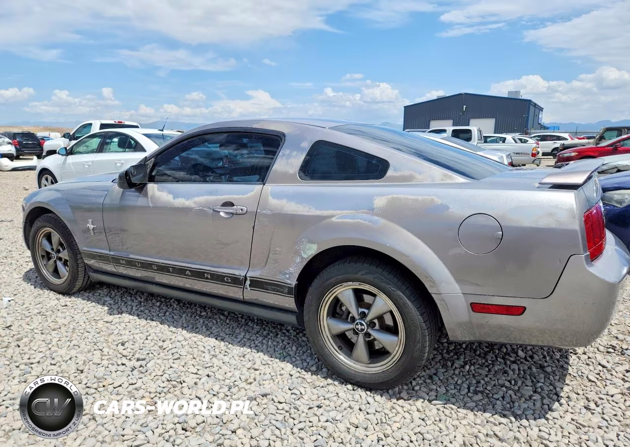 2006 Ford Mustang VIN:1ZVFT80NX65177059 - 2