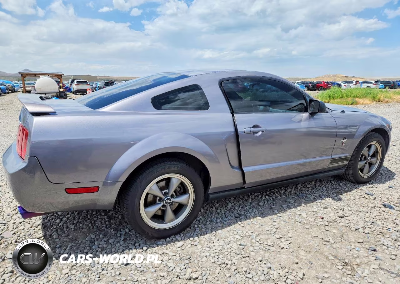 2006 Ford Mustang VIN:1ZVFT80NX65177059 - 3