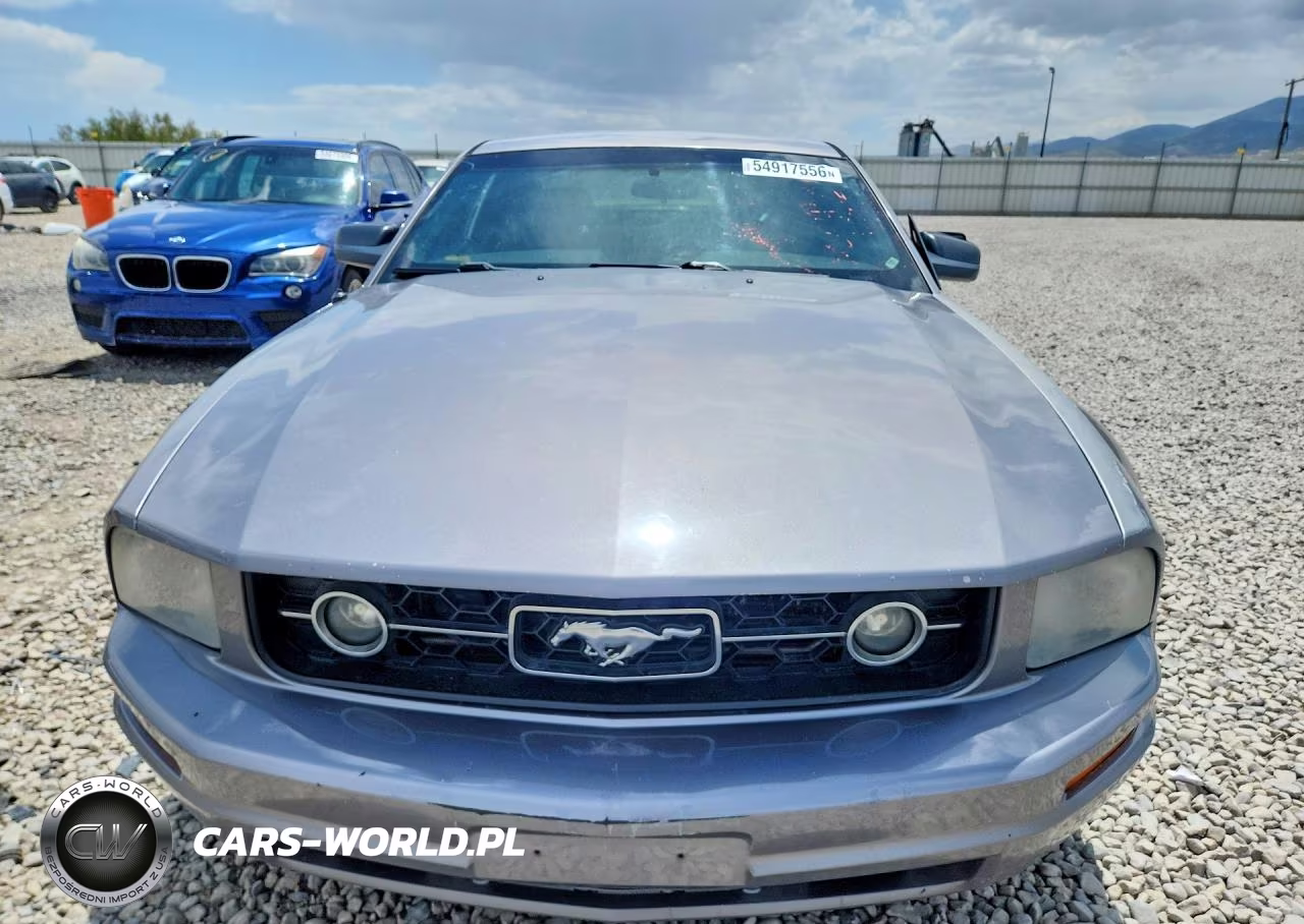 2006 Ford Mustang VIN:1ZVFT80NX65177059 - 5