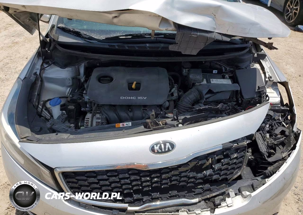 2017 Kia Forte Lx VIN:3KPFK4A77HE077295 - 11