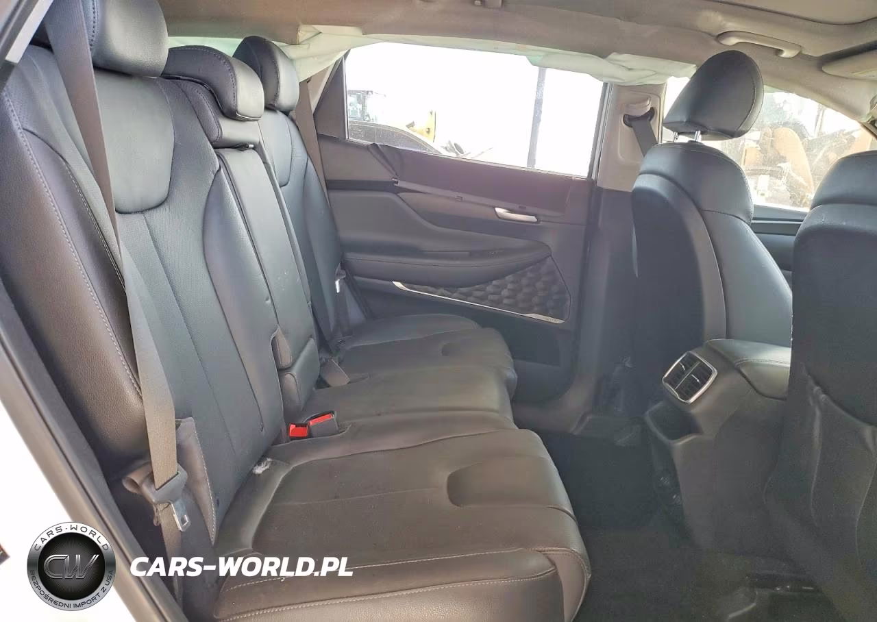2019 Hyundai Santa Fe Limited 2.4L VIN:5NMS5CAD3KH081253 - 10