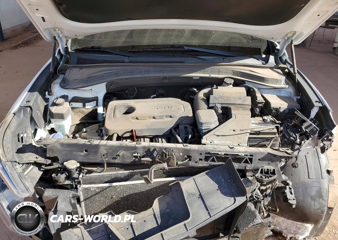 2019 Hyundai Santa Fe Limited 2.4L VIN:5NMS5CAD3KH081253 - 11