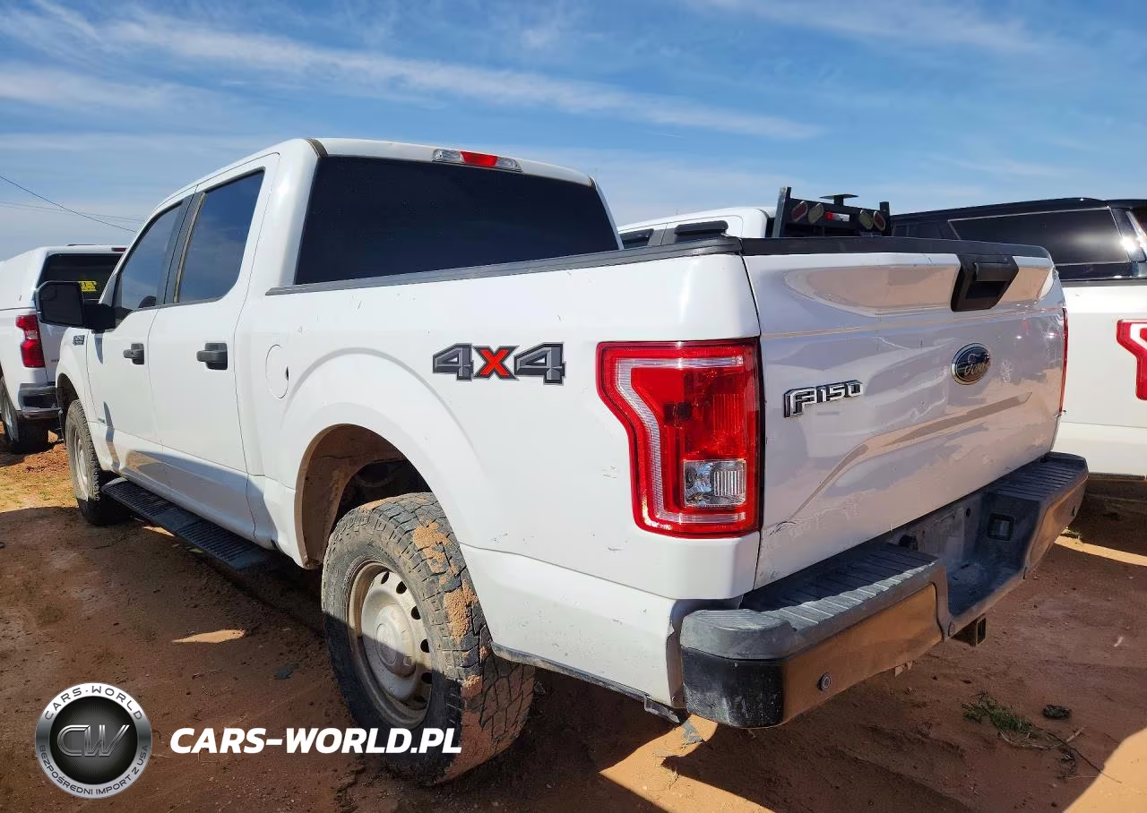 2015 Ford F150 Supercrew VIN:1FTEW1EG8FKD13035 - 2