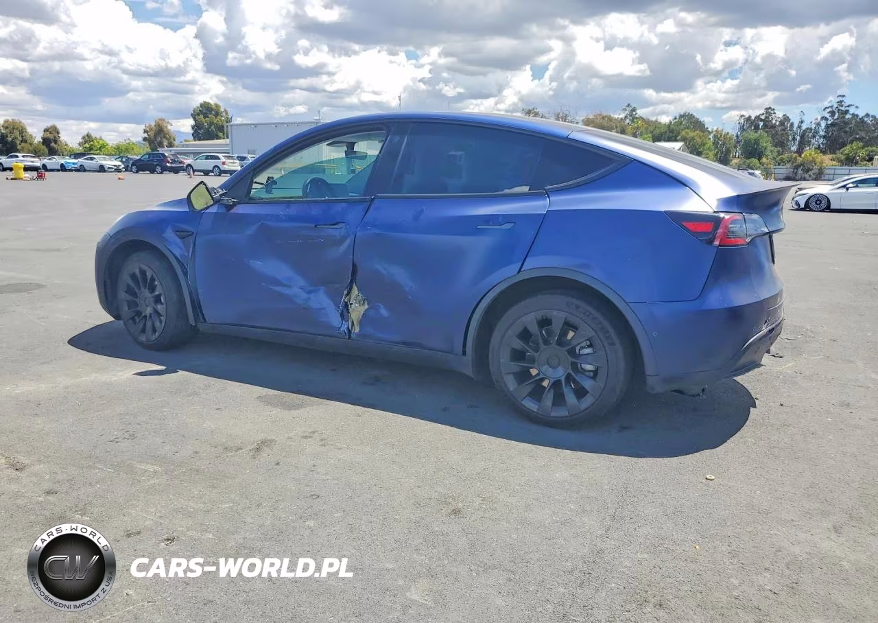 2022 Tesla Model Y VIN:7SAYGDEE6NF339593 - 2