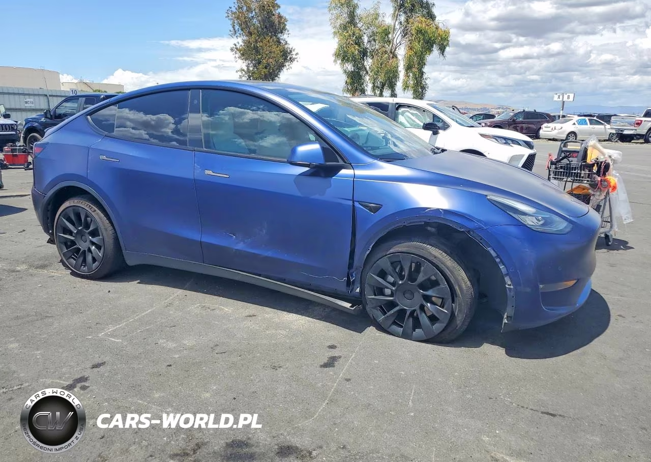 2022 Tesla Model Y VIN:7SAYGDEE6NF339593 - 4