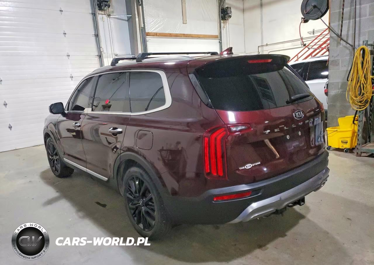 2021 Kia Telluride Sx VIN:5XYP54HCXMG129479 - 2