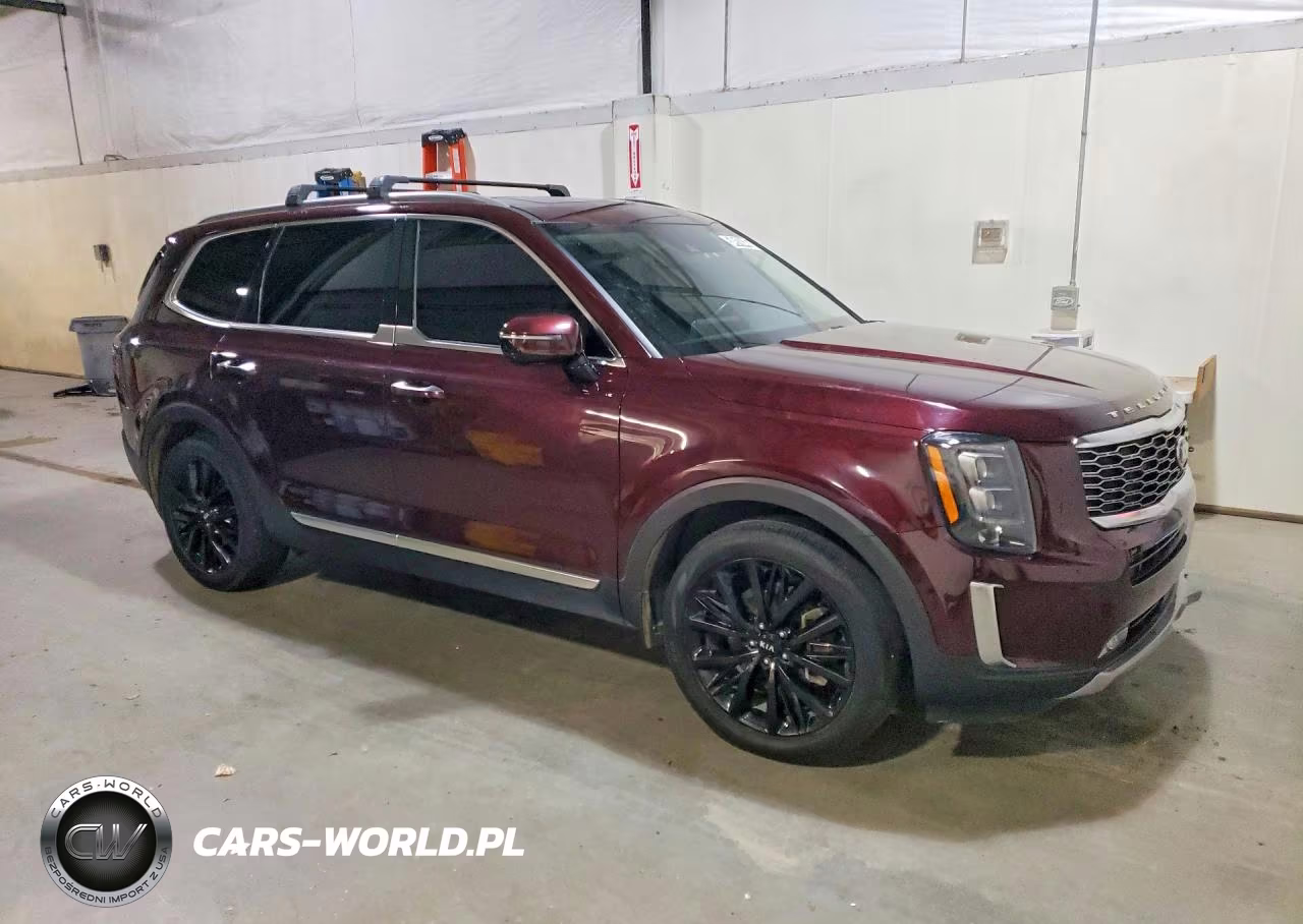 2021 Kia Telluride Sx VIN:5XYP54HCXMG129479 - 4