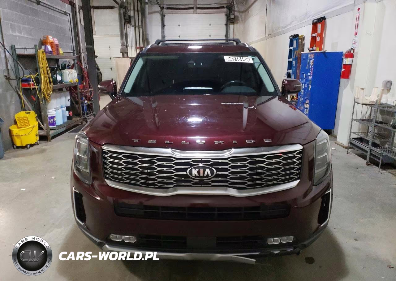 2021 Kia Telluride Sx VIN:5XYP54HCXMG129479 - 5