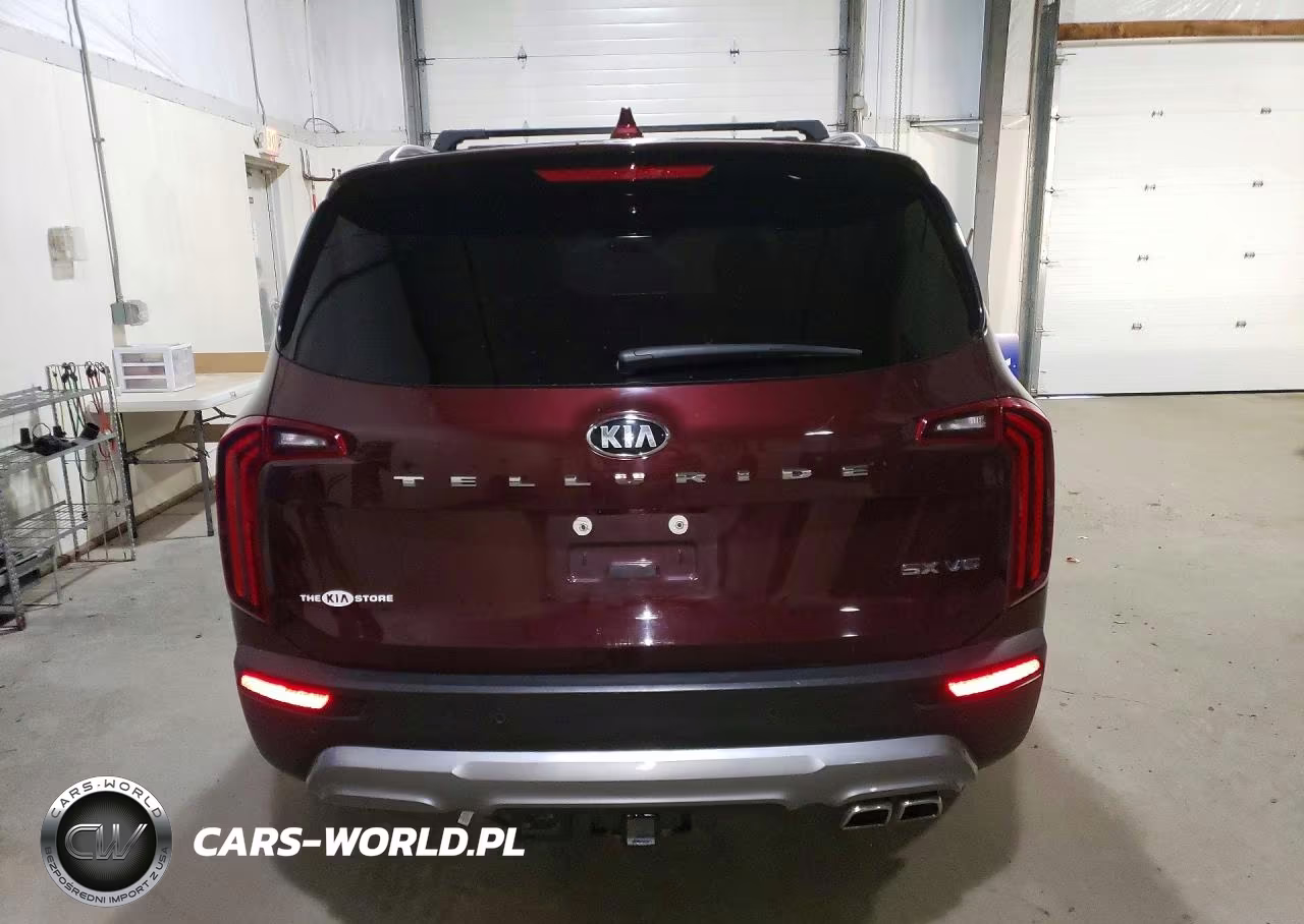 2021 Kia Telluride Sx VIN:5XYP54HCXMG129479 - 6