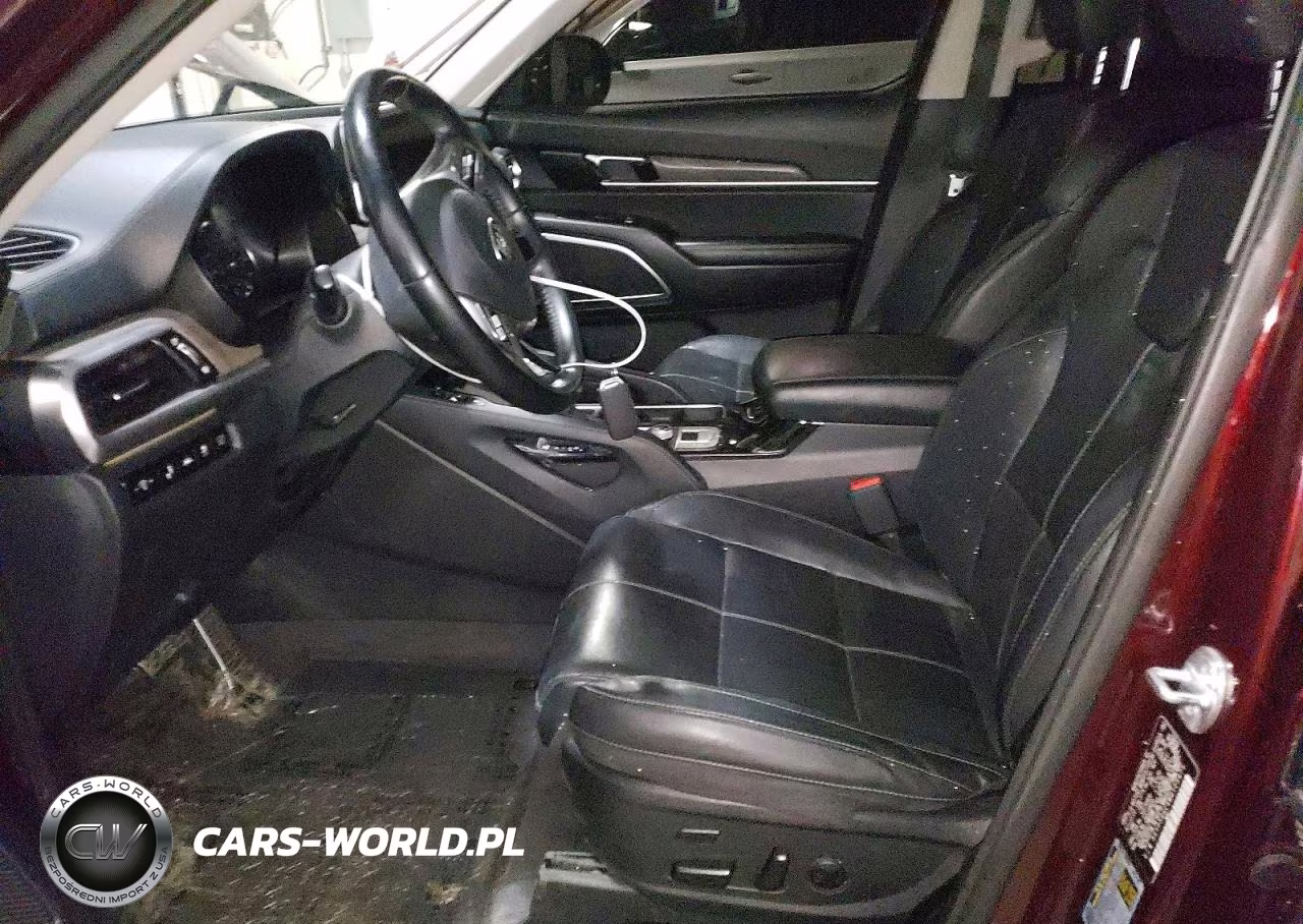 2021 Kia Telluride Sx VIN:5XYP54HCXMG129479 - 7